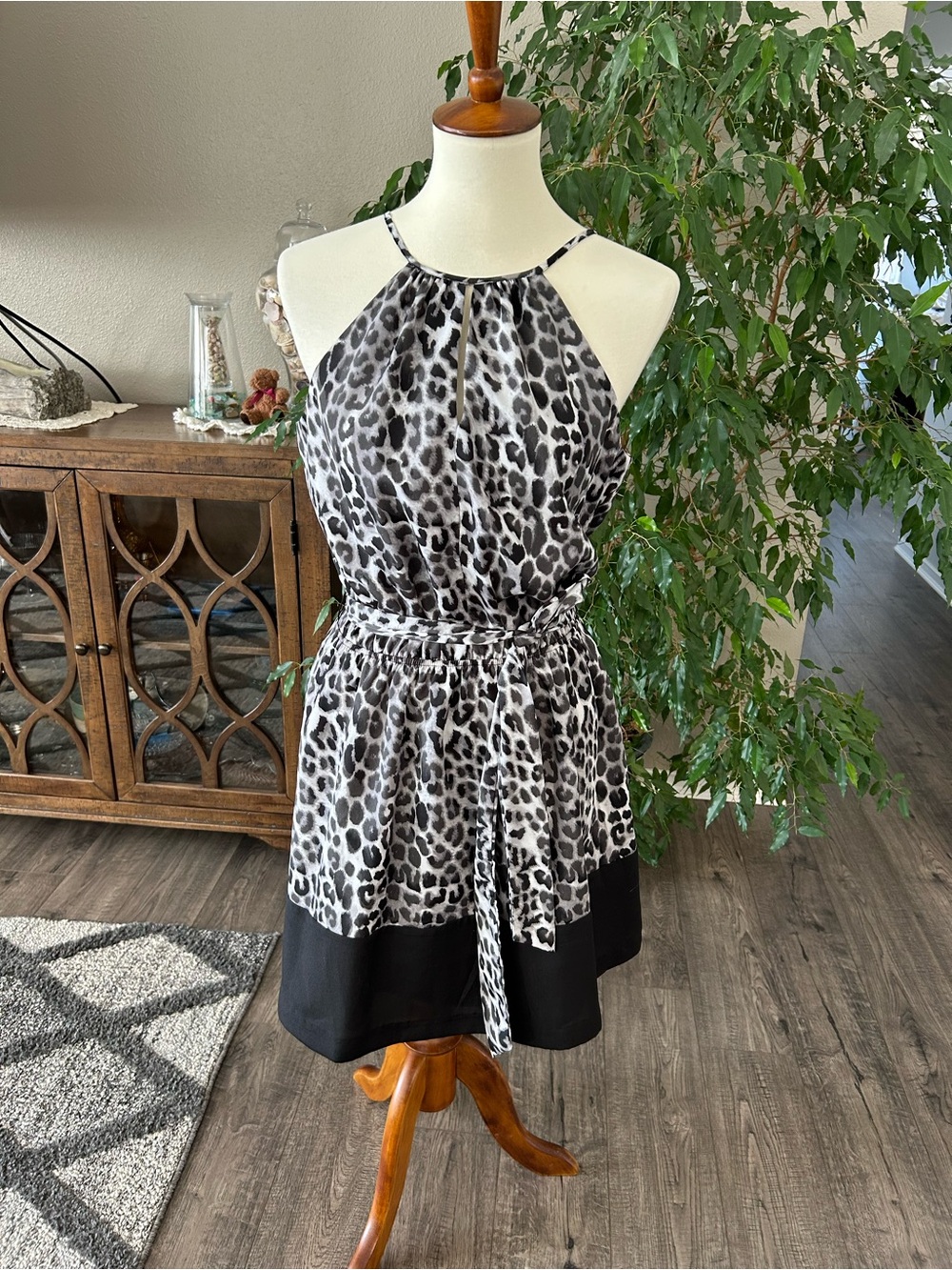 Express Dress